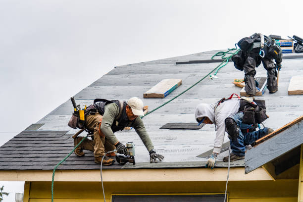 Professional Roof Replacement technician working in Garrison, ND